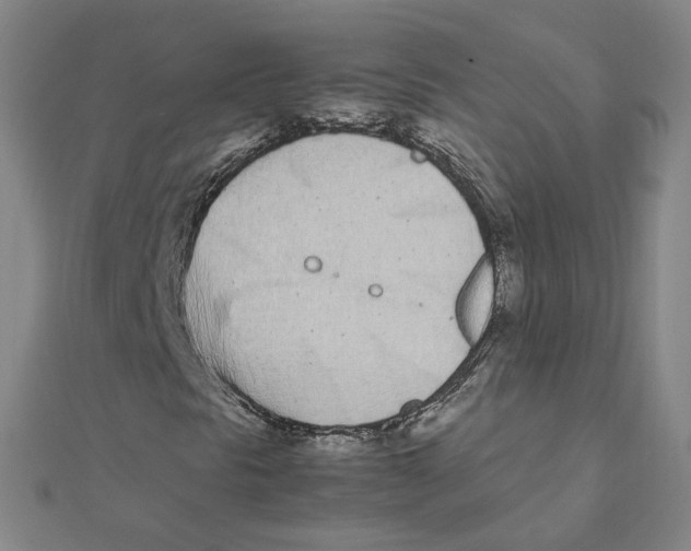 X0000111491297200908111215