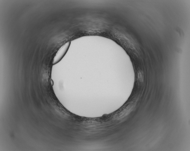 X0000111491300200908111215