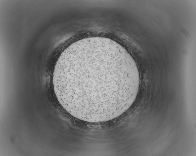 X0000111491302200908111215