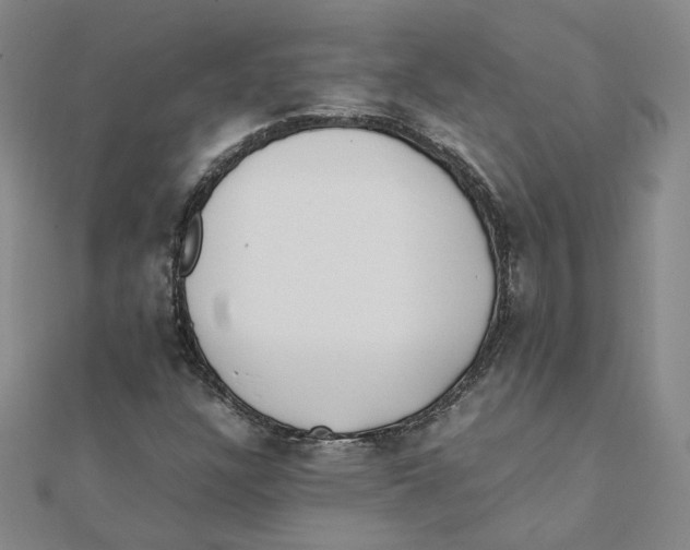X0000111491304200908111215