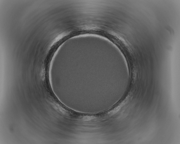 X0000111491306200908111215