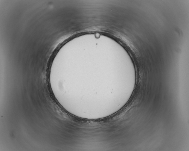 X0000111491308200908111215