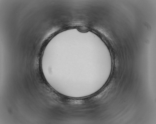 X0000111491309200908111215
