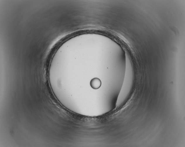 X0000111491310200908111215