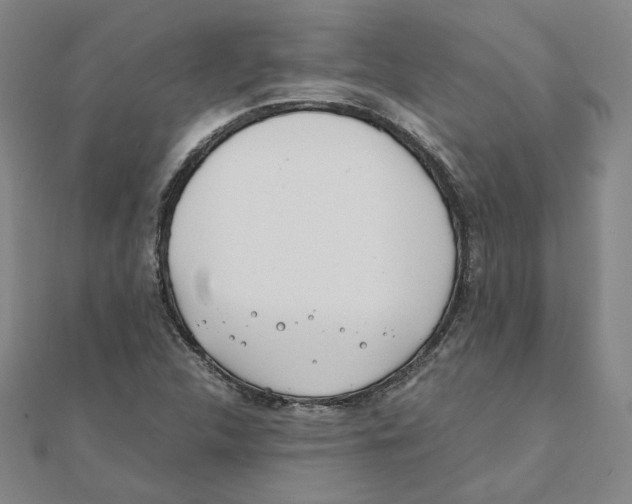 X0000111491312200908111215
