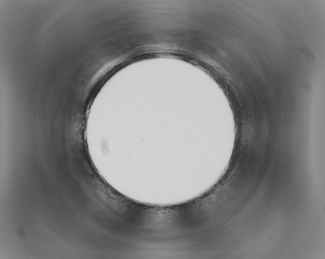 X0000111491314200908111215