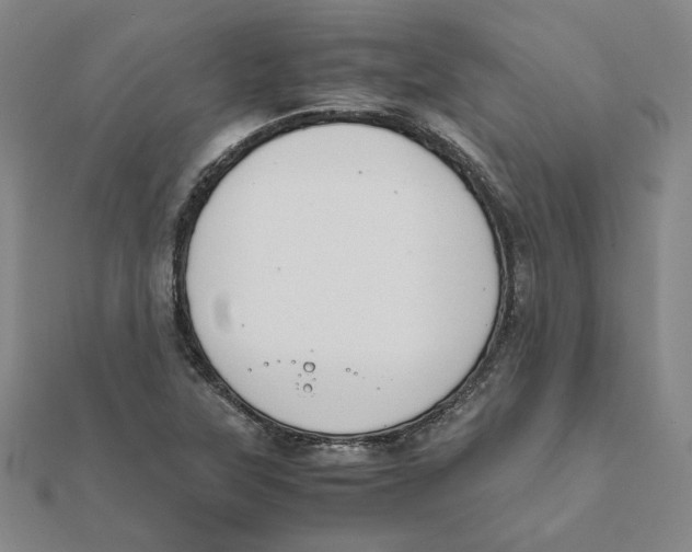 X0000111491315200908111215