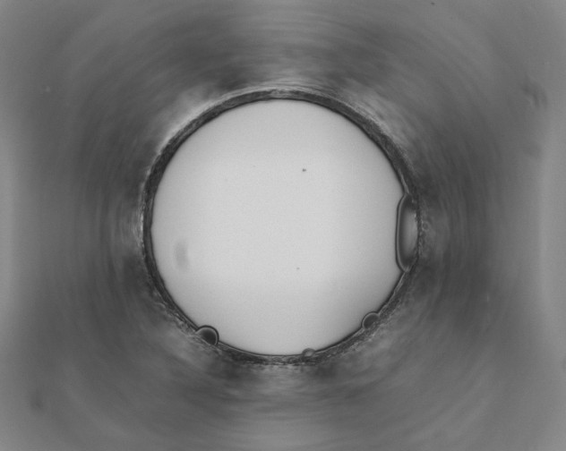 X0000111491316200908111215