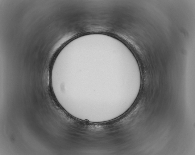 X0000111491317200908111215
