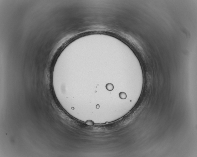 X0000111491318200908111215