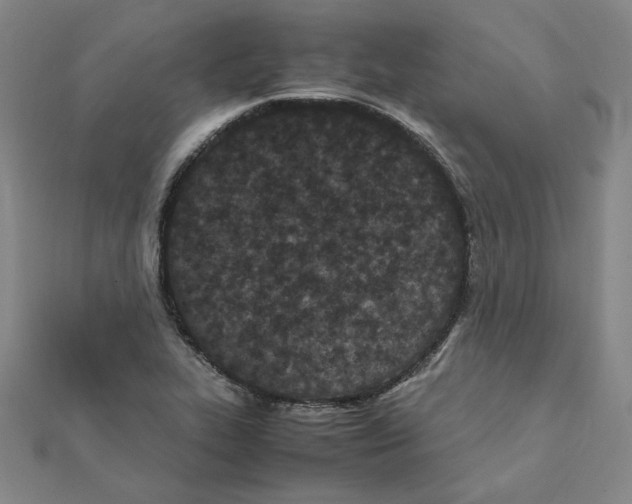 X0000111491319200908111215