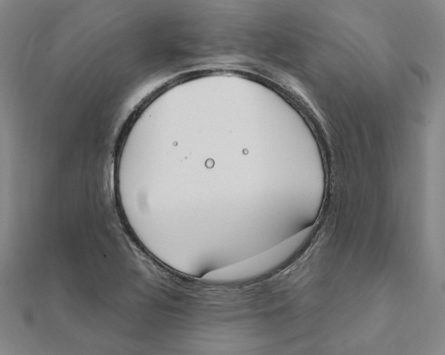 X0000111491320200908111215