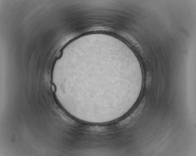 X0000111491321200908111215