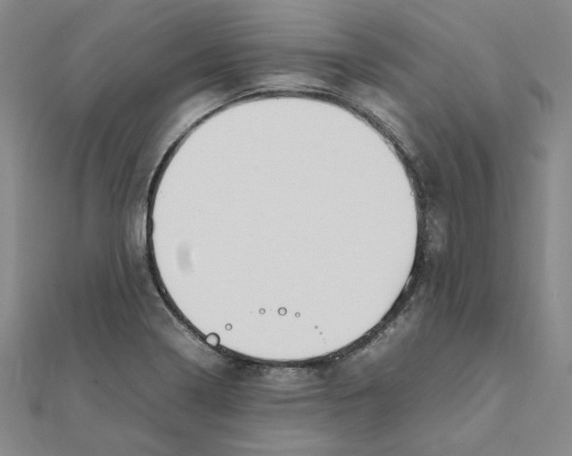 X0000111491322200908111215