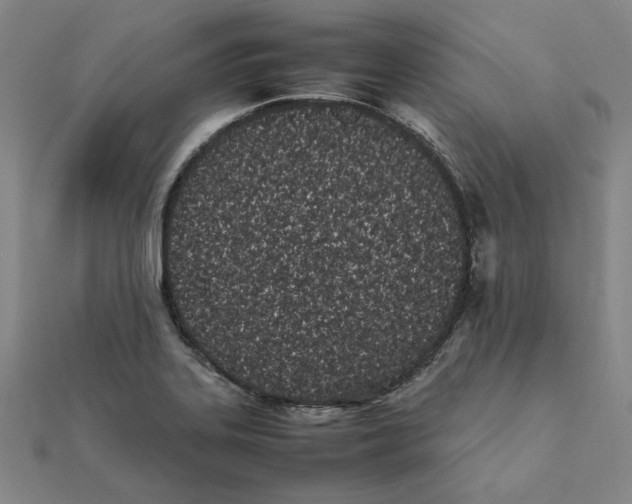 X0000111491323200908111215