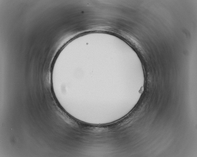 X0000111491324200908111215