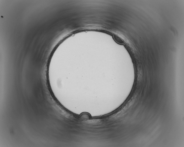 X0000111491325200908111215
