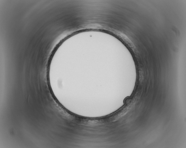 X0000111491326200908111215