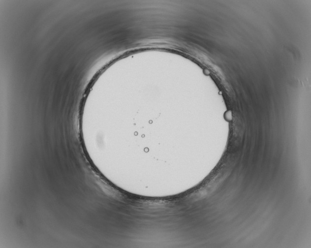 X0000111491328200908111215