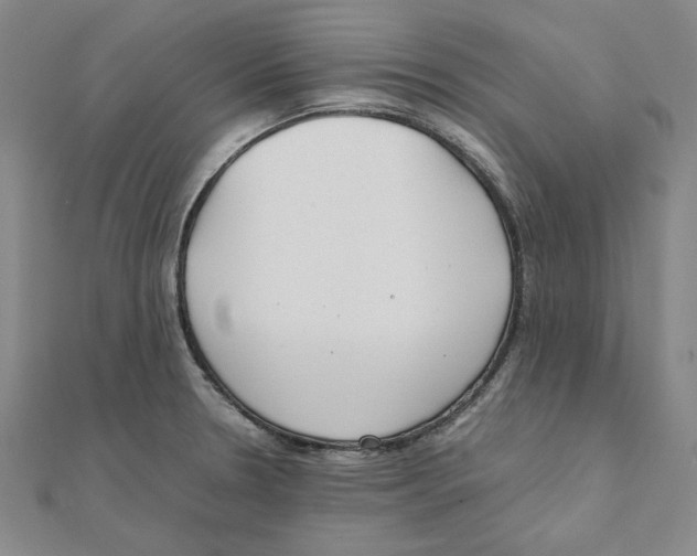 X0000111491330200908111215