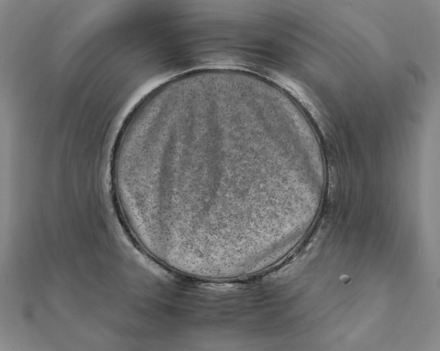 X0000111491331200908111215