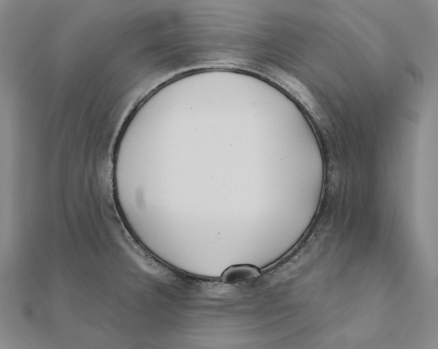 X0000111491332200908111215