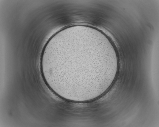 X0000111491333200908111215