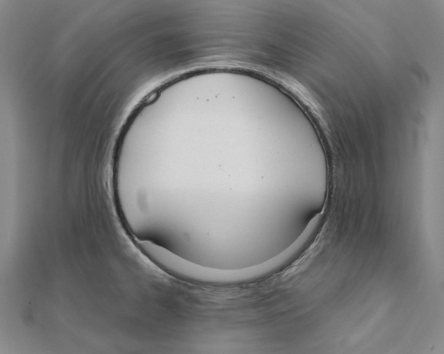 X0000111491334200908111215