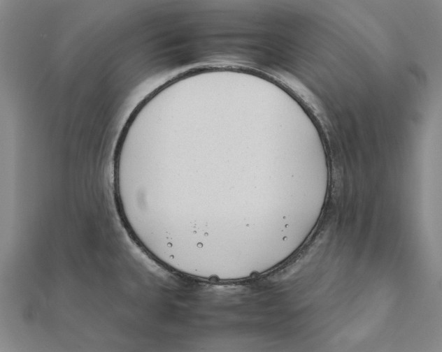 X0000111491335200908111215
