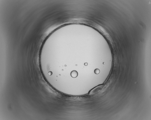 X0000111491336200908111215
