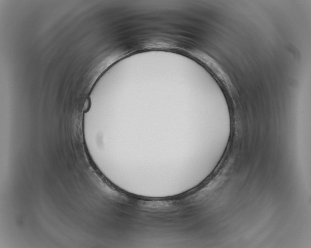 X0000111491337200908111215
