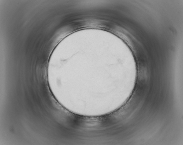 X0000111491338200908111215