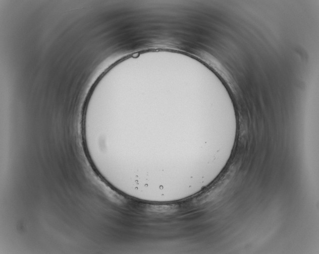 X0000111491339200908111215
