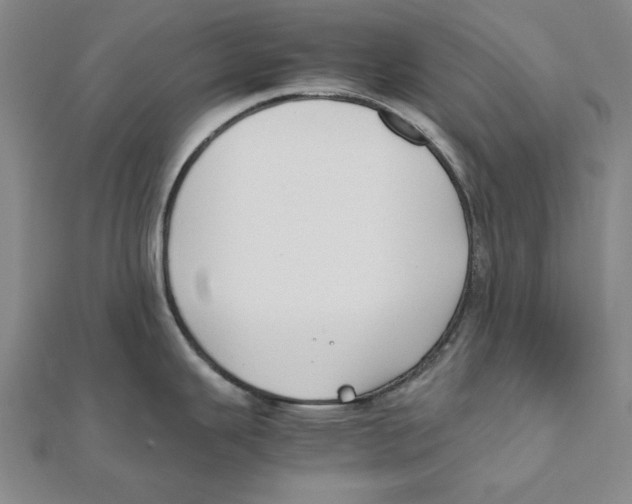 X0000111491343200908111215