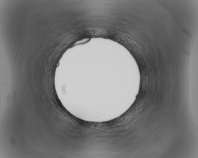 X0000111491345200908111215