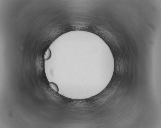 X0000111491346200908111215