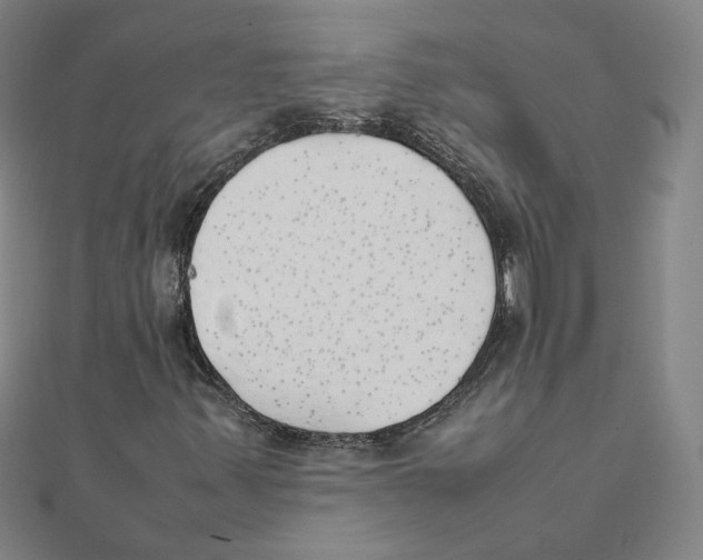 X0000111491347200908111215