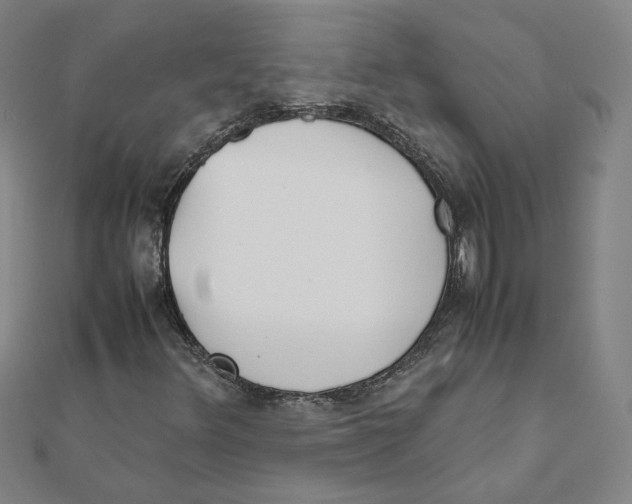 X0000111491348200908111215