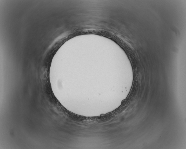 X0000111491351200908111215