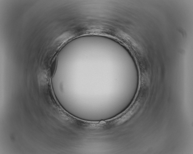 X0000111491353200908111215
