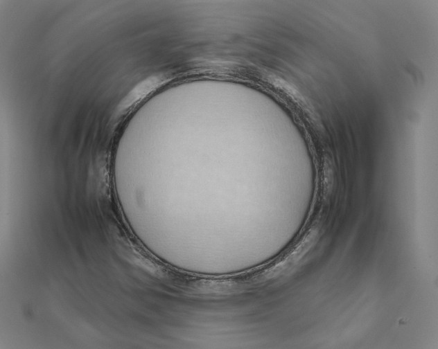 X0000111491354200908111214