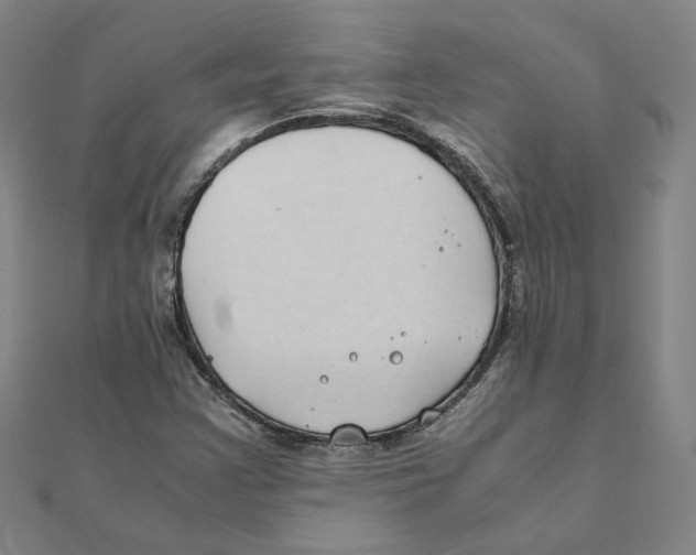 X0000111491355200908111214