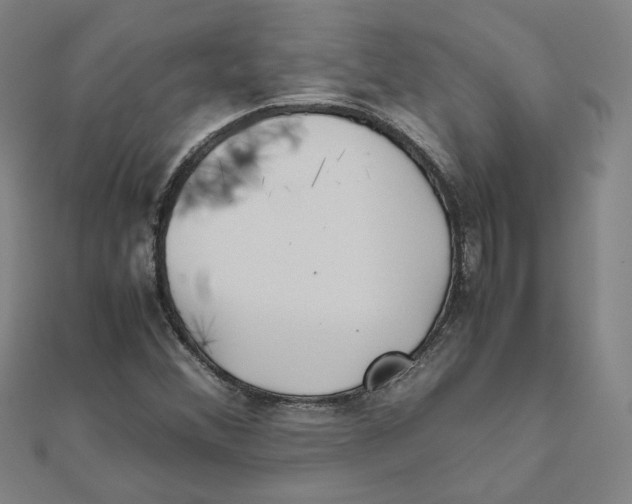 X0000111491356200908111214