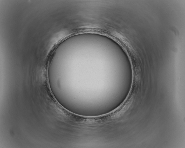 X0000111491357200908111214