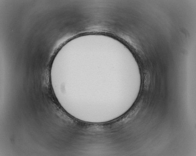 X0000111491358200908111214