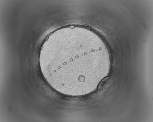 X0000111491359200908111214