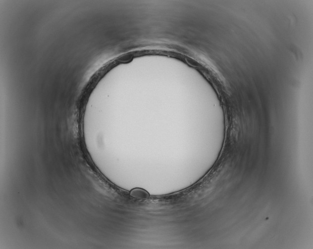 X0000111491360200908111214