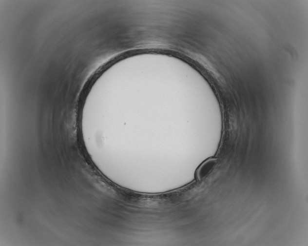 X0000111491364200908111214