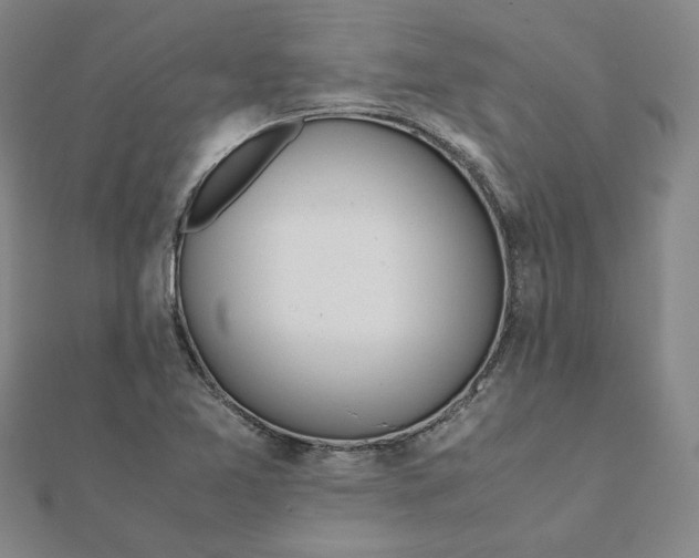 X0000111491365200908111214