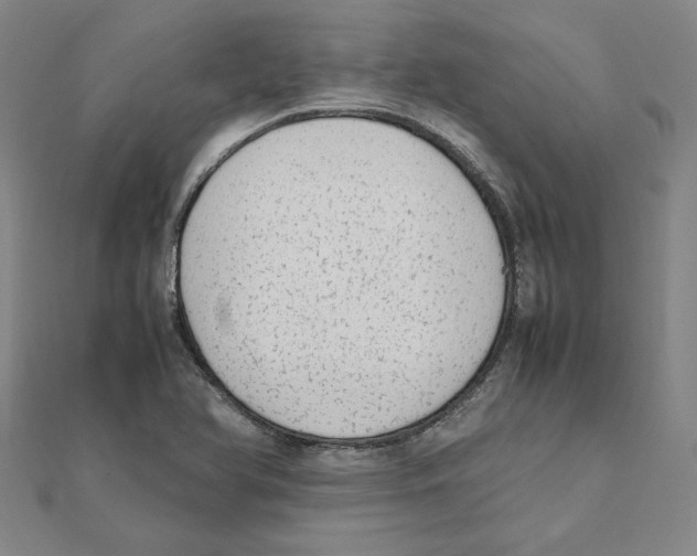 X0000111491366200908111214